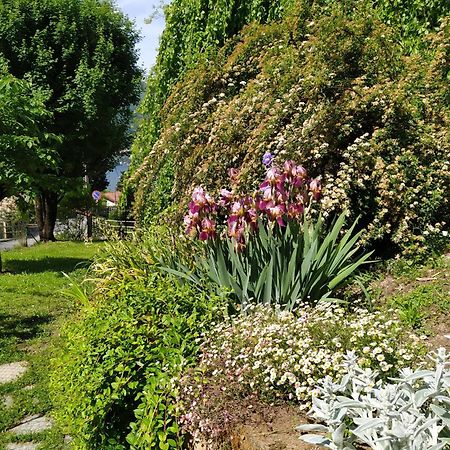 Il Bogno B&B Lierna Exteriör bild