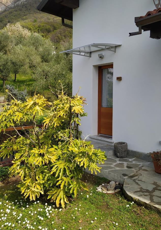 Il Bogno B&B Lierna Exteriör bild