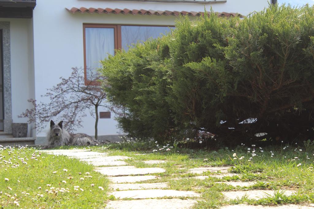 Il Bogno B&B Lierna Exteriör bild