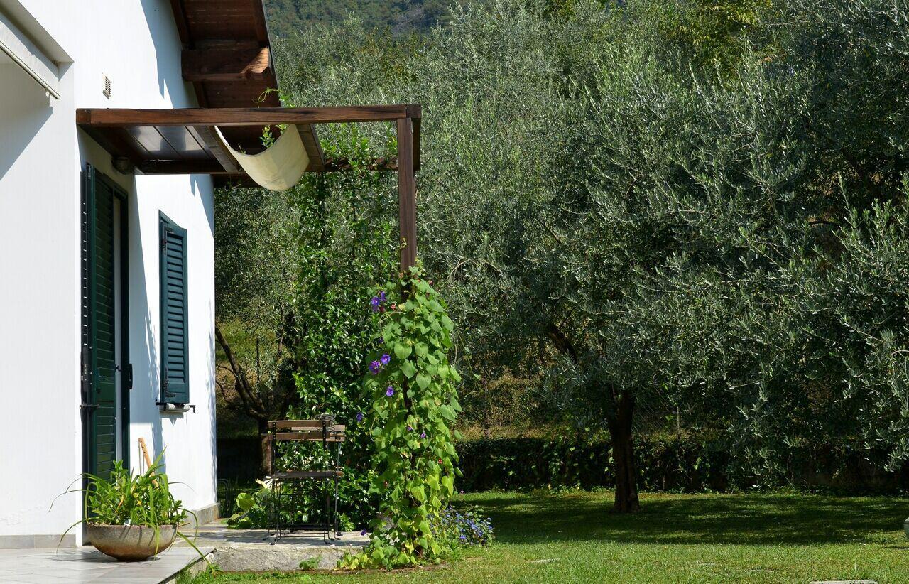 Il Bogno B&B Lierna Exteriör bild